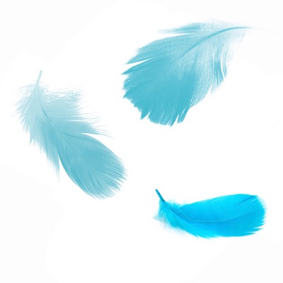 宙に舞う青色グラデーションの羽根